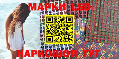 шишки Кимры