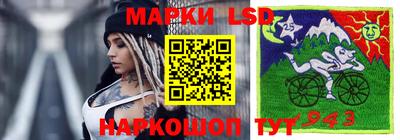 шишки Кимры