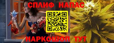 шишки Кимры