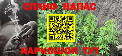 шишки Кимры