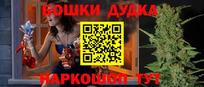шишки Кимры