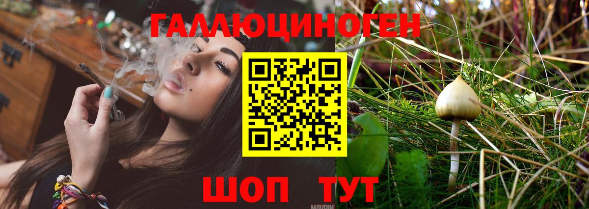 Псилоцибиновые грибы MAGIC MUSHROOMS  Вход с VPN  как найти наркотики  Псилоцибиновые грибы мухоморы  Якутск 